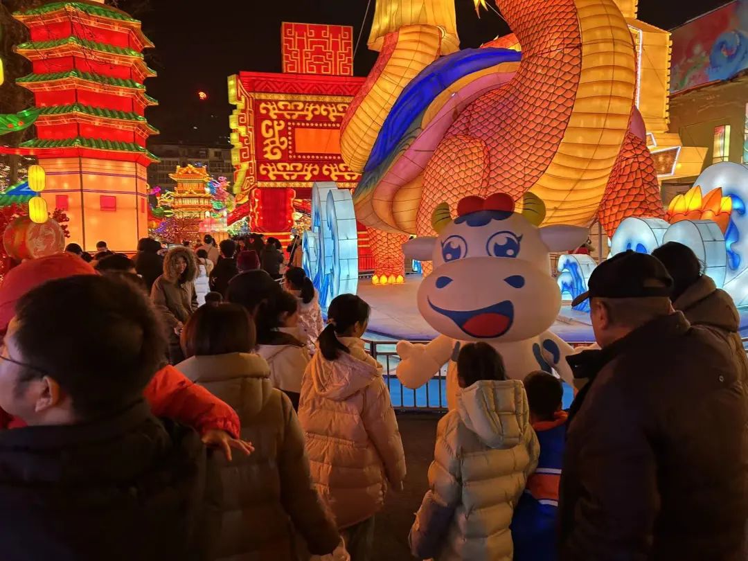 央視直播鄭州龍年燈會迎新春，花花牛品牌上大分