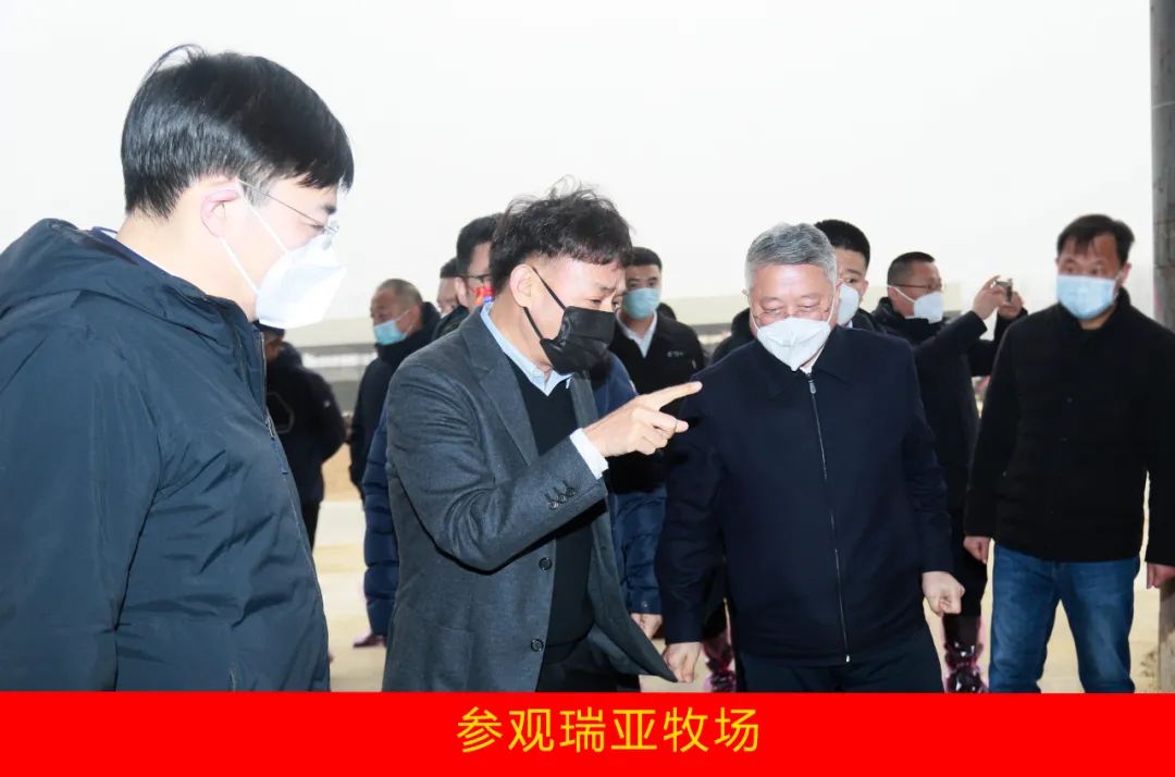 新年開新局 合作促發(fā)展丨佳木斯市委常委、副市長(zhǎng)閆志剛一行蒞臨花花牛乳業(yè)集團(tuán)及佳田企業(yè)考察座談