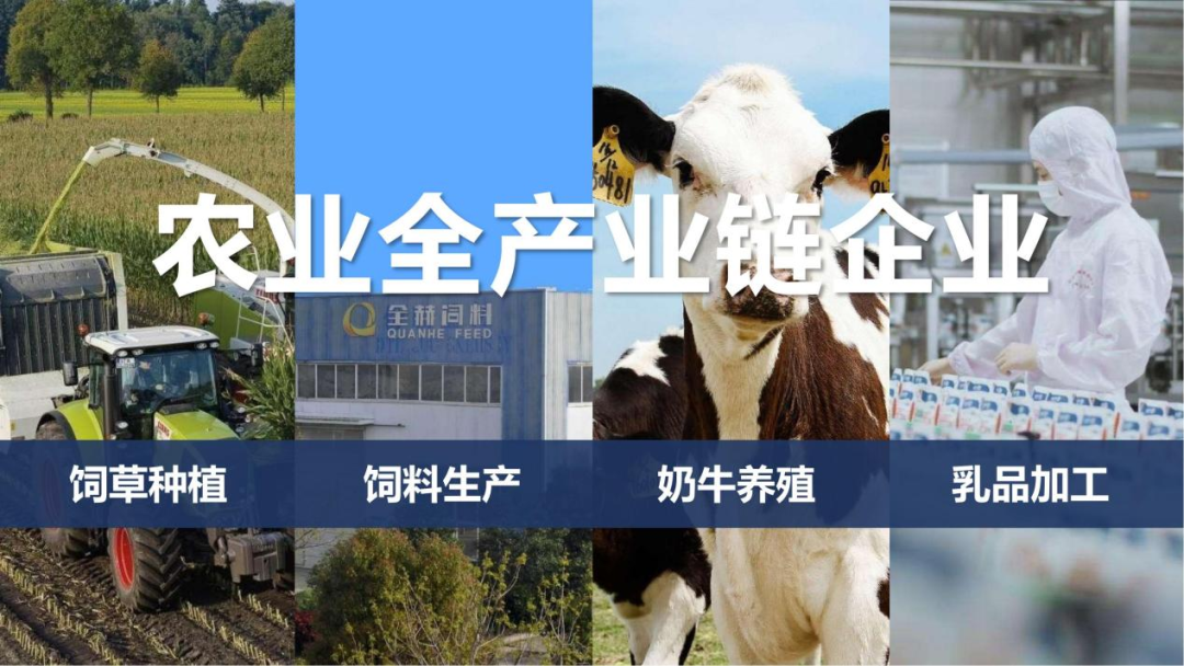 快訊 | 河南省召開培育奶業(yè)重點縣推進(jìn)奶源基地建設(shè)工作座談會