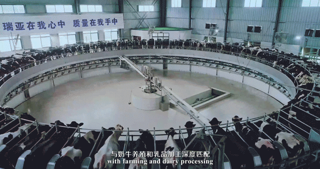 快訊 | 河南省委常委、省紀(jì)委書記、省監(jiān)委主任任正曉蒞臨花花牛乳業(yè)集團新蔡瑞亞牧場調(diào)研