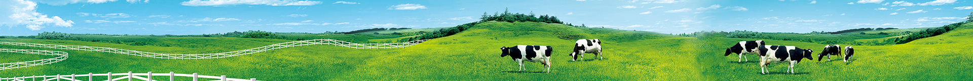 http://www.dawang007.com/data/upload/202412/20241225200749_228.jpg