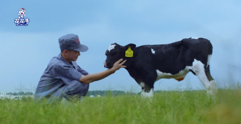 中國動物衛(wèi)生流調(diào)中心首席科學家范偉興一行蒞臨花花牛郟縣發(fā)展、魯山瑞亞參觀調(diào)研