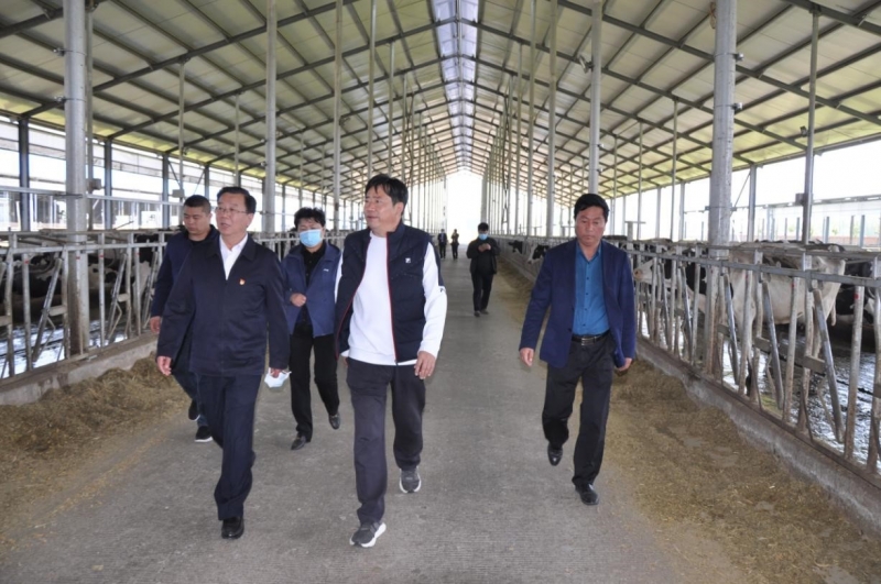 商丘市委常委、宣傳部部長(zhǎng)王全周一行蒞臨睢縣瑞亞牧業(yè)有限公司調(diào)研