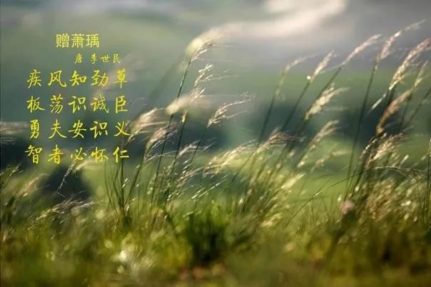 花花牛 | 疾風(fēng)來(lái)臨，你是不是勁草？