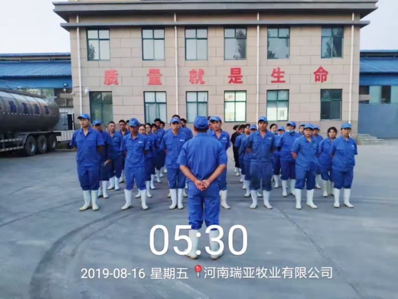 小晨會(huì)·大能量——砥礪奮進(jìn)的花花牛，加油！