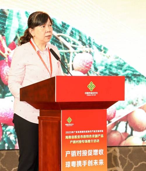 海南省脱贫市县特色农副产品产销对接专场在广州顺利举办_广东_活动